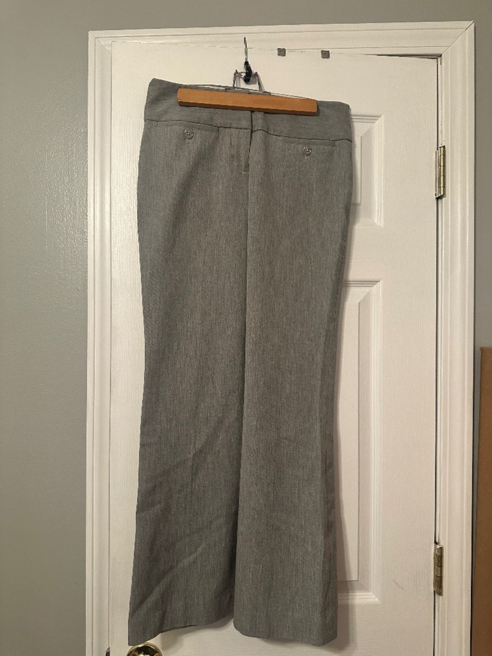 Express Editor Pants